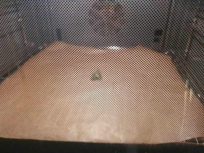 Growreport Bild 1