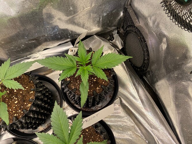 Growreport Bild 10