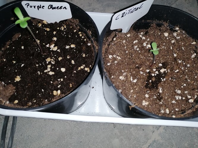 Growreport Bild 12