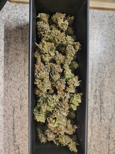 Growreport Bild 19