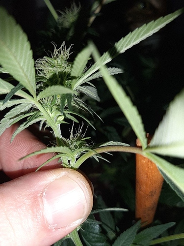 Growreport Bild 9