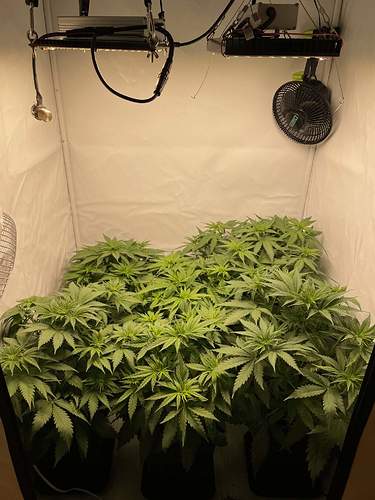 4987579_grow-journal-by-glen1818