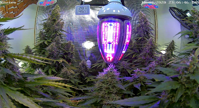 Growreport Bild 7