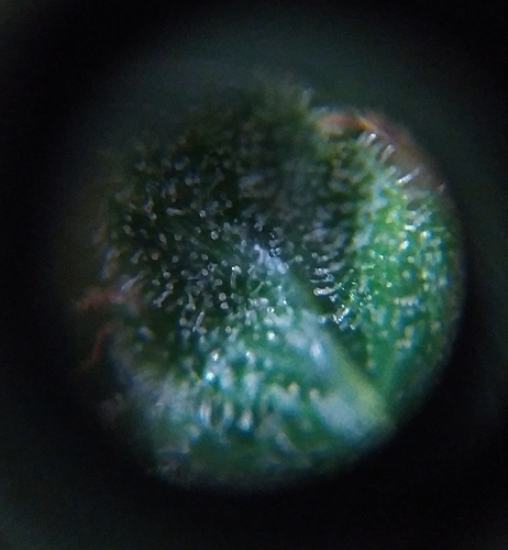 IMG_20200820_230906~2