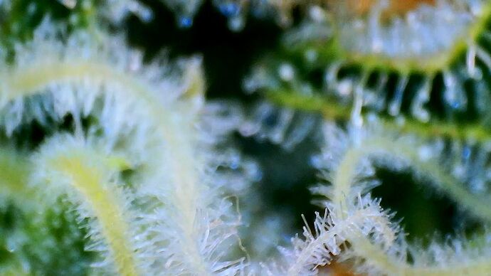 Growreport Bild 11