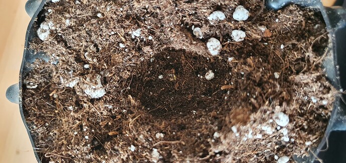 Growreport Bild 8