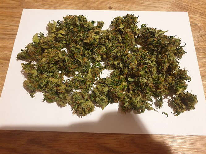 Growreport Bild 2