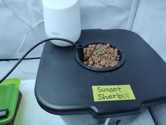 Growreport Bild 29