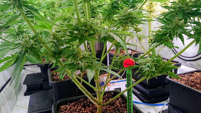 Growreport Bild 18