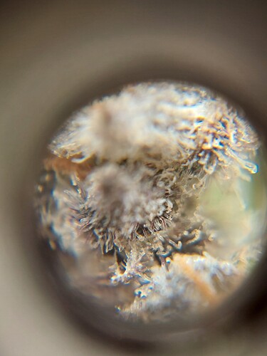 Growreport Bild 9