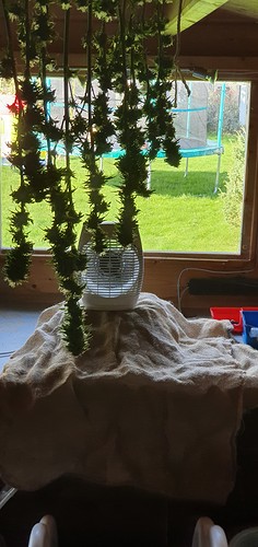 Growreport Bild 2