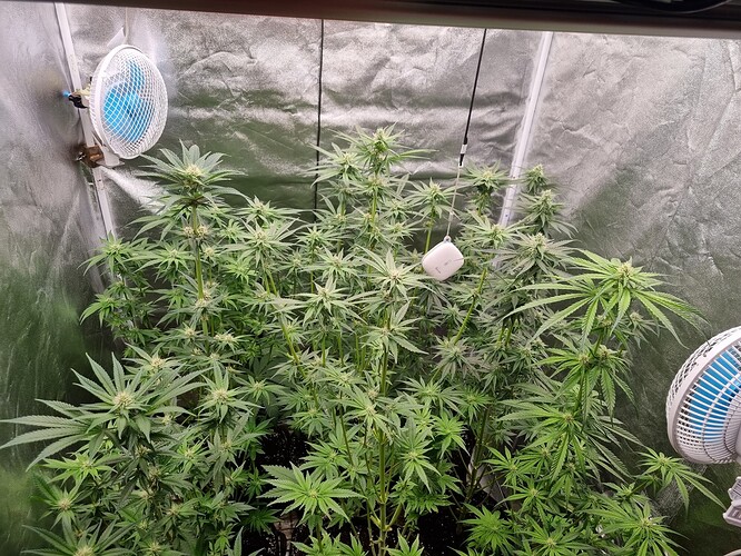 Growreport Bild 13
