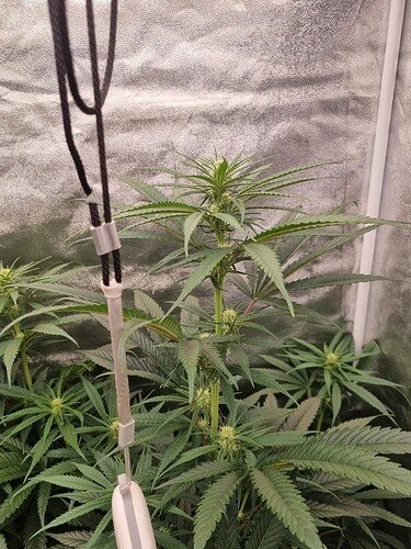 Growreport Bild 8