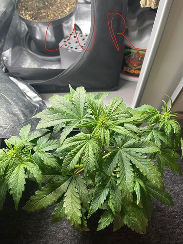 Growreport Bild 25