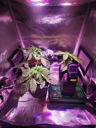 Growreport Bild 10