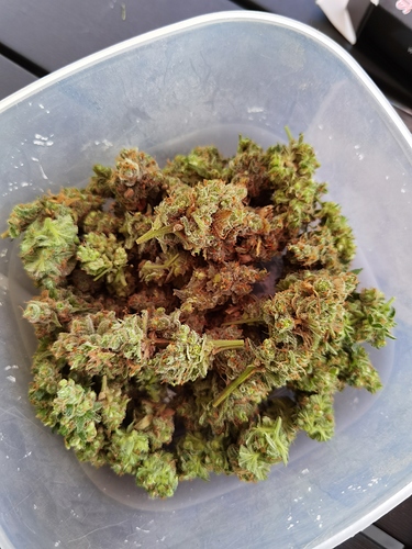 Growreport Bild 4
