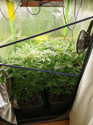 Growreport Bild 7