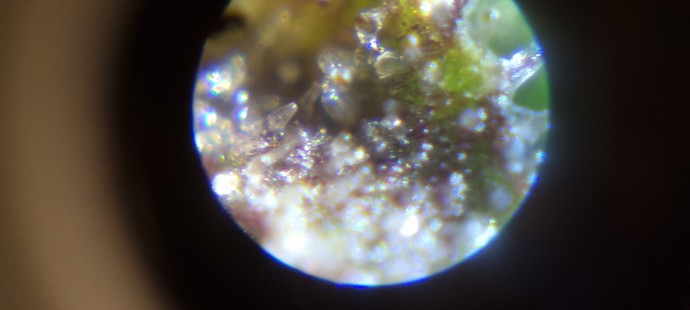 Growreport Bild 23