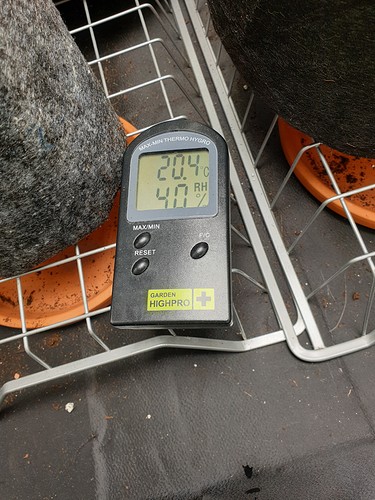 Growreport Bild 10