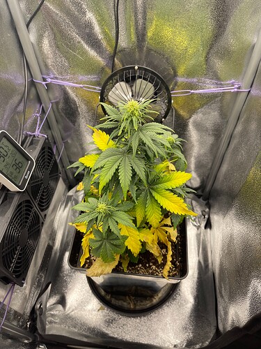 Growreport Bild 2