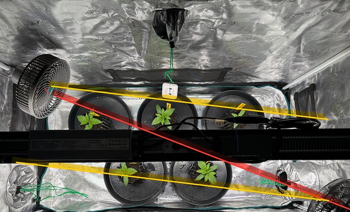 Growreport Bild 75