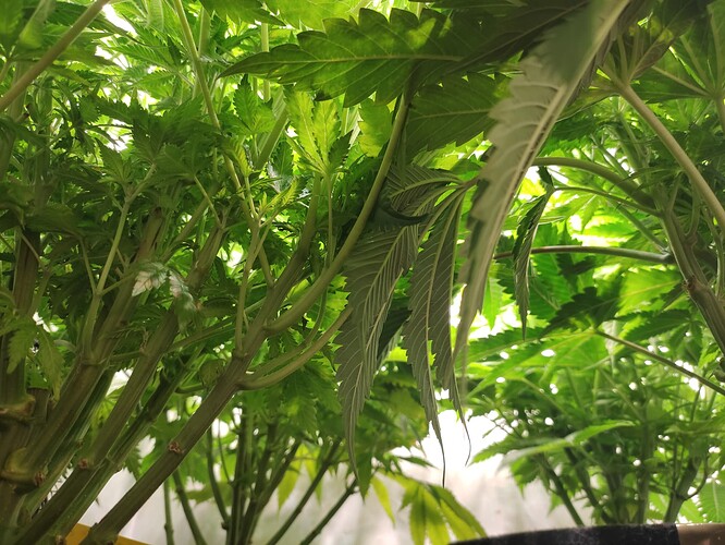 Growreport Bild 10