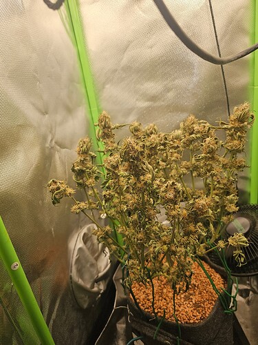 Growreport Bild 7