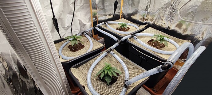 Growreport Bild 6