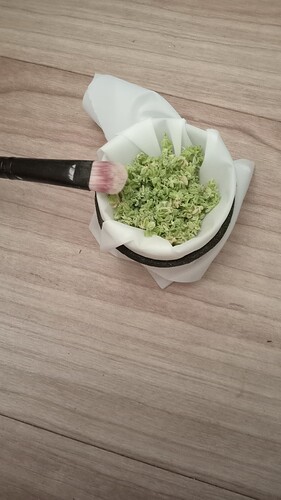 Growreport Bild 82