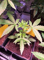 Growreport Bild 24