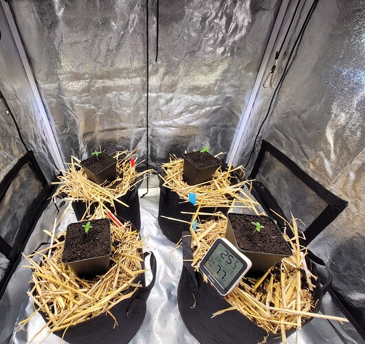 Growreport Bild 9
