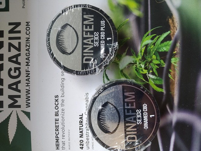 Growreport Bild 10