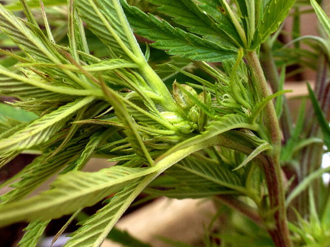 Growreport Bild 23