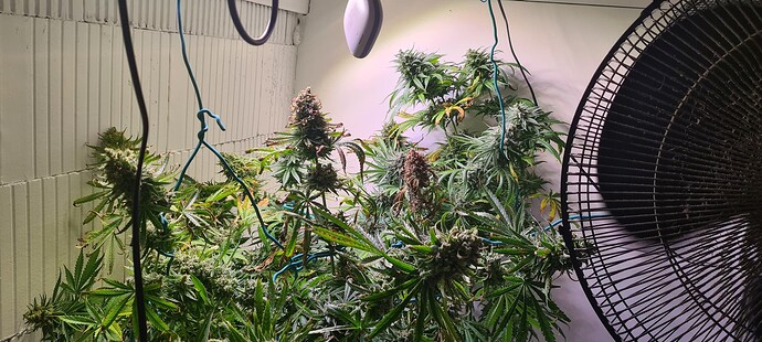 Growreport Bild 23