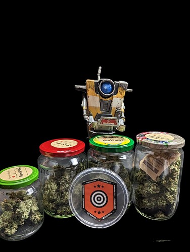 Growreport Bild 4