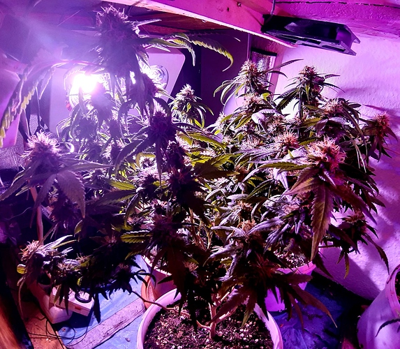 Growreport Bild 14
