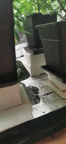 Growreport Bild 12