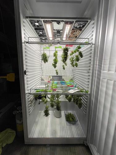 Growreport Bild 14