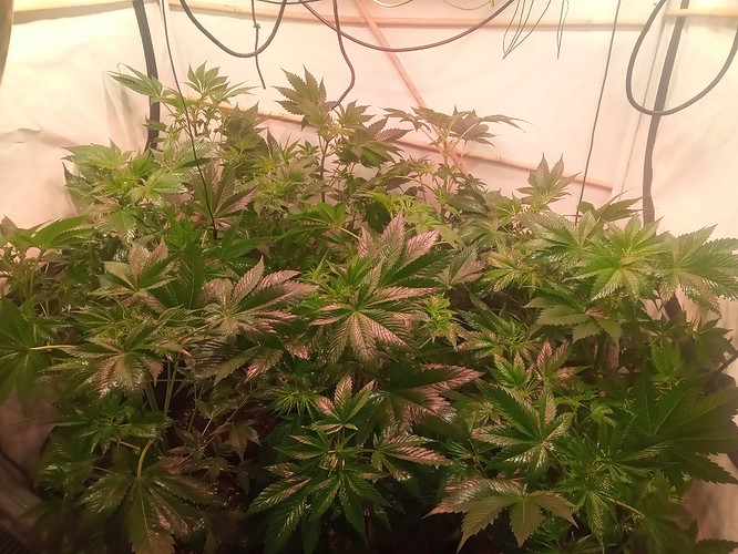 Growreport Bild 10