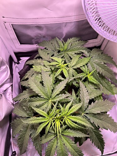 Growreport Bild 5