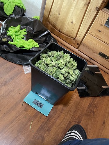 Growreport Bild 52