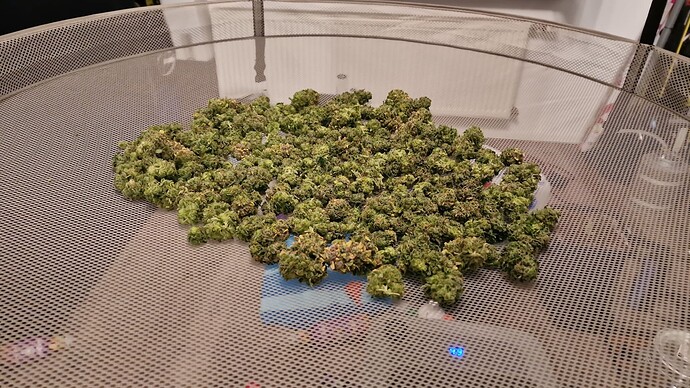 Growreport Bild 4