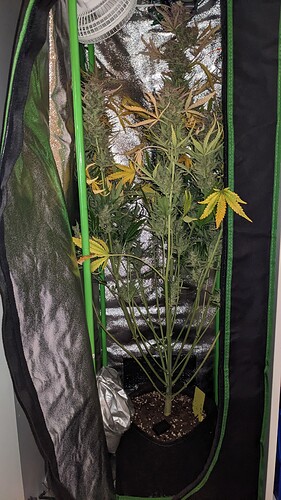 Growreport Bild 1