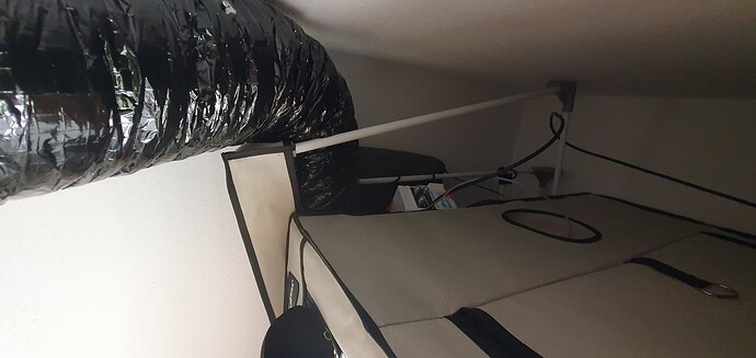 Growreport Bild 9