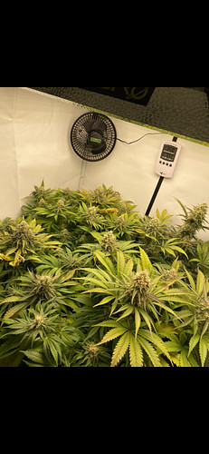Growreport Bild 2