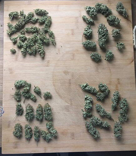 Growreport Bild 3