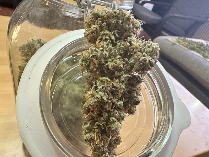 Growreport Bild 6