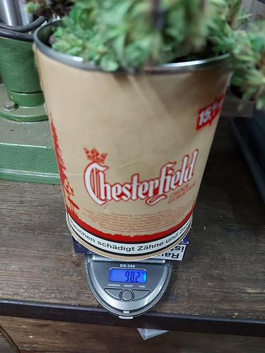 Growreport Bild 20