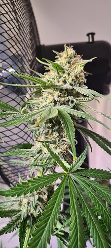 Growreport Bild 14