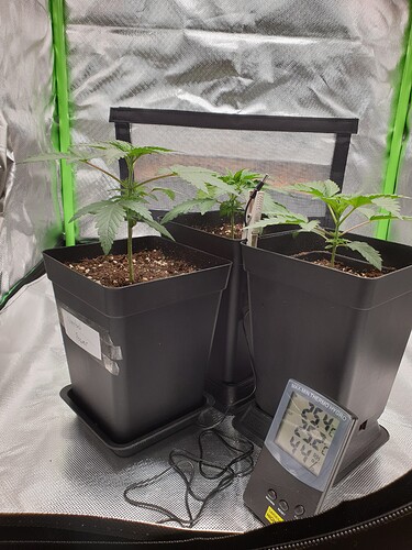 Growreport Bild 8